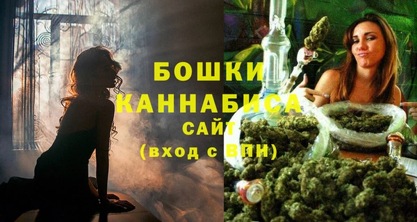 гидра Протвино