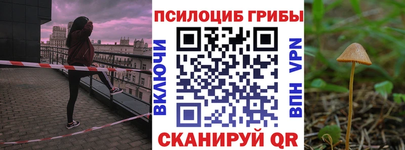 наркотики  mega вход  Галлюциногенные грибы прущие грибы  Мурино 